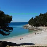 Apartment Great Flat Few Minutes From The Beach! *